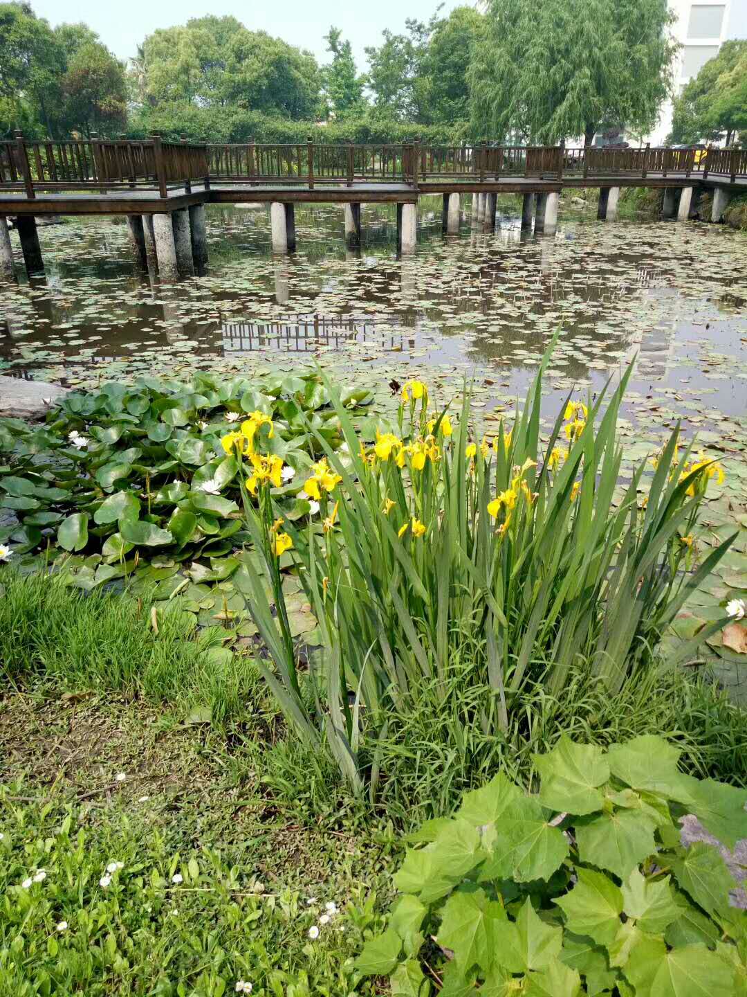 时兴集团