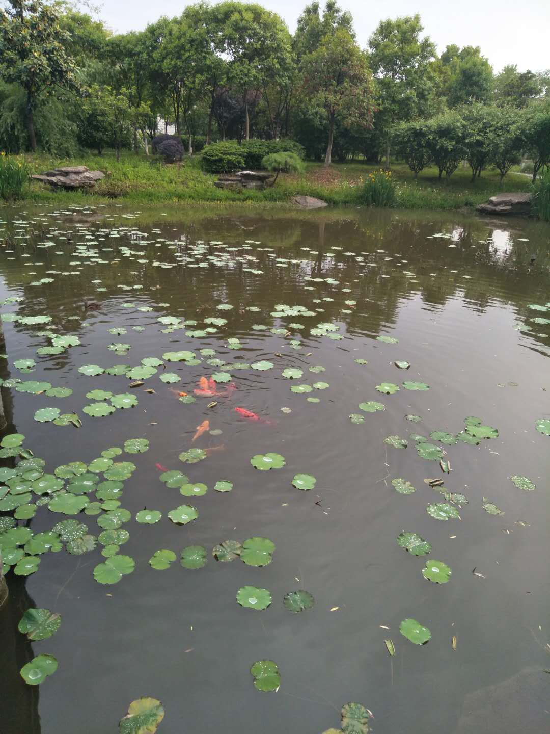 时兴集团